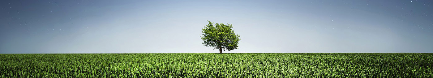 Finding Land Finding Land
